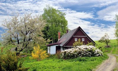 Sommerhus